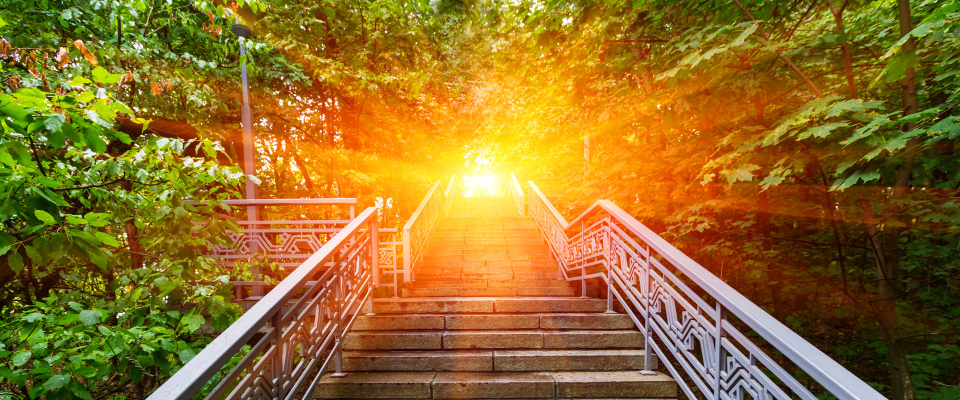 Evaluating the Success of 12 Step Recovery Programs: A Comprehensive Analysis